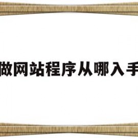 包含做网站程序从哪入手的词条