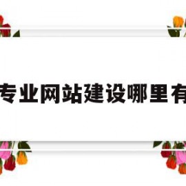 专业网站建设哪里有(专业的网站建设公司具备哪些条件)
