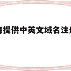 上海提供中英文域名注册公司(上海提供中英文域名注册公司有哪些)