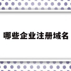 哪些企业注册域名(哪些企业注册域名可以用)