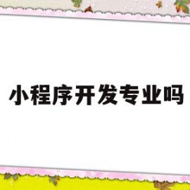 小程序开发专业吗(小程序开发行业前景)