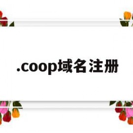 .coop域名注册(com域名注册条件)