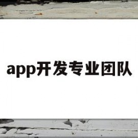 app开发专业团队(专业做app软件开发团队)