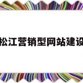 松江营销型网站建设(东莞营销型网站建设流程)