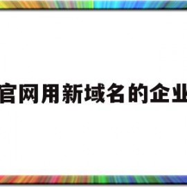 官网用新域名的企业(官网用新域名的企业是什么)