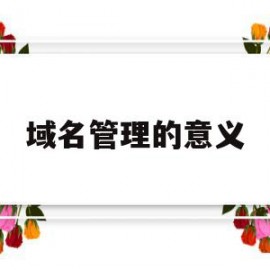 域名管理的意义(域名管理的意义是什么)