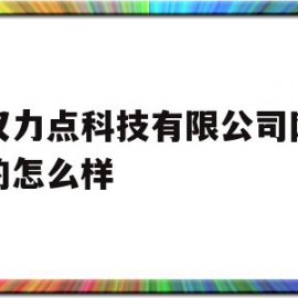 包含武汉力点科技有限公司网站做的怎么样的词条