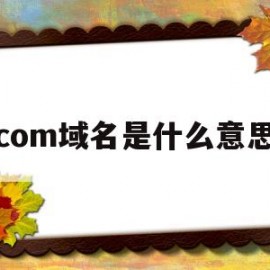 com域名是什么意思(域名是什么意思怎么填)