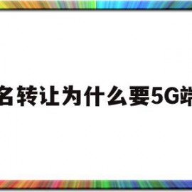 域名转让为什么要5G端口(为什么要将域名转换为ip地址)