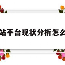 网站平台现状分析怎么写(网站的现状分析)