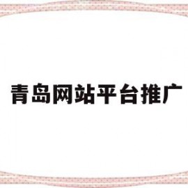 青岛网站平台推广(青岛网站推广优化公司)