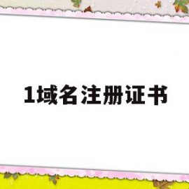 1域名注册证书(域名注册证书原件怎么弄)