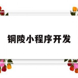 铜陵小程序开发(池州小程序开发)