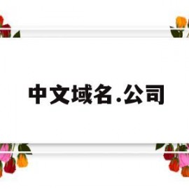 中文域名.公司(国内中文域名)