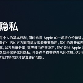 苹果软件app开发者(苹果手机里的开发者应用是什么?安全吗?)