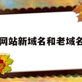 网站新域名和老域名(新网站使用旧的域名仍然没有更新)