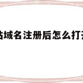 网站域名注册后怎么打开网站(网站域名注册后怎么打开网站权限)