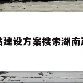 网站建设方案搜索湖南岚鸿(网站设计最新湖南岚鸿品 牌)
