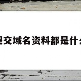 提交域名资料都是什么(域名要审核通过才能登陆吗)