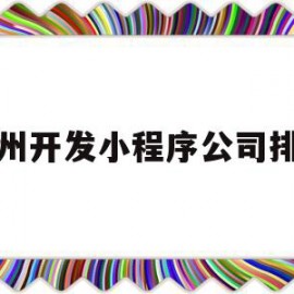 随州开发小程序公司排行(随州开发小程序公司排行榜)