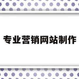 专业营销网站制作(营销型网站制作建设)