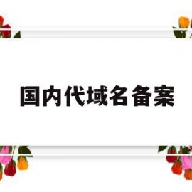 国内代域名备案(域名备案代办公司)