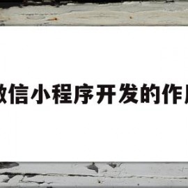 微信小程序开发的作用(微信小程序开发前景如何)