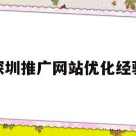 深圳推广网站优化经验(深圳网络推广有几种方法)
