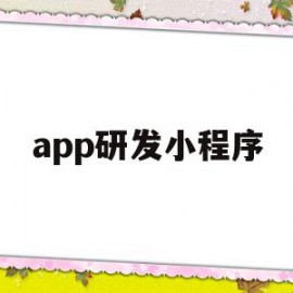 app研发小程序(手机app小程序开发)