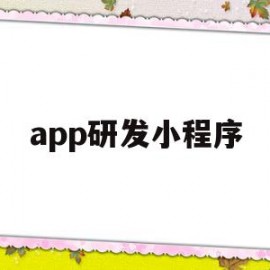 app研发小程序(手机app小程序开发)
