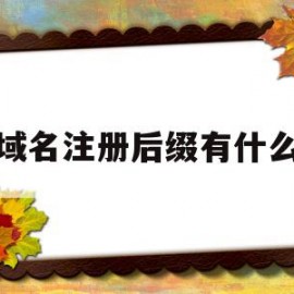 域名注册后缀有什么(域名注册后缀有什么要求)