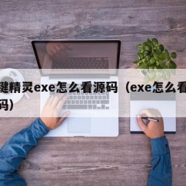 按键精灵exe怎么看源码（exe怎么看源代码）