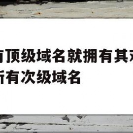 拥有顶级域名就拥有其对应的所有次级域名(顶级域名有哪两类)