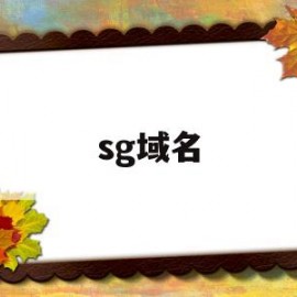 sg域名(sg域名表示的是什么)