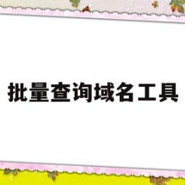 批量查询域名工具(批量域名查询软件)