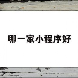 哪一家小程序好(哪个小程序平台比较好)