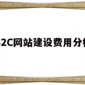 B2C网站建设费用分析(b2c的网站,分析其网站的功能分类及盈利模式)