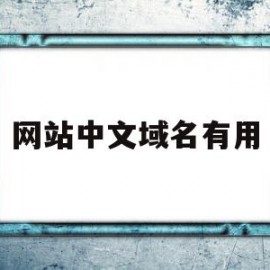 网站中文域名有用(中文域名的好处和重要性)