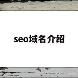 seo域名介绍(seo域名的选取)