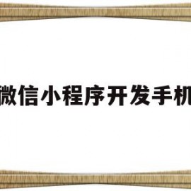 微信小程序开发手机(微信小程序开发手机号验证码登录)