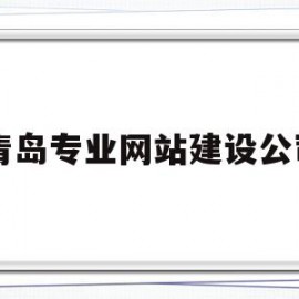 青岛专业网站建设公司(青岛网站建设公司哪家好)