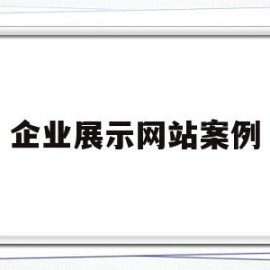 企业展示网站案例(企业展示型网站有哪些)