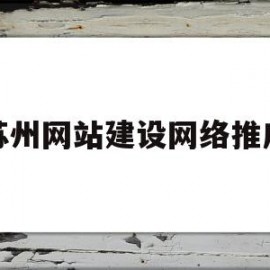苏州网站建设网络推广(苏州网站建设工作)