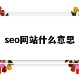seo网站什么意思(网站专业术语中seo意思是什么)