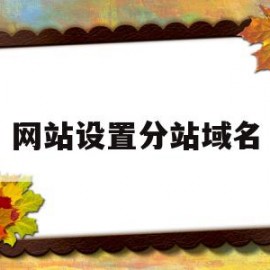 网站设置分站域名(网站分站是什么意思)