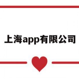 上海app有限公司(上海app有限公司官网)