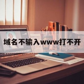 包含域名不输入www打不开的词条