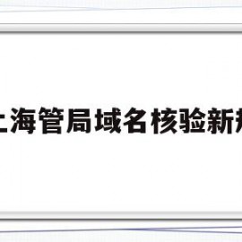 上海管局域名核验新规(上海域名备案)