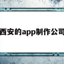 西安的app制作公司(企业app开发制作公司)