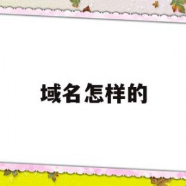 域名怎样的(域名有什么讲究)